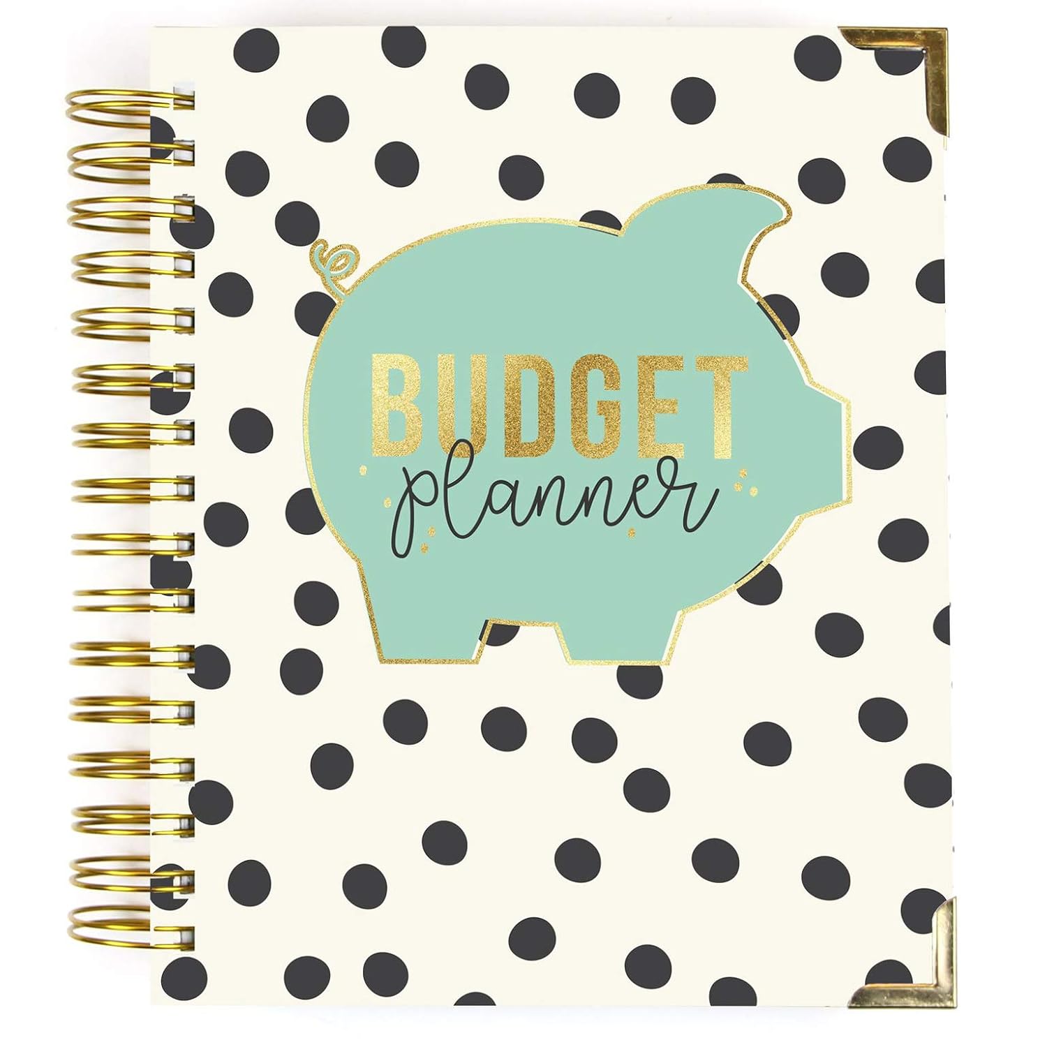 Pukka Pad, Carpe Diem Budget Planner Spiral Bound Notebook with 12 Month Calendar, Dividers, Inserts, and Sticker Sheets – Features Savings Goals & Tracker, Financial Overview, and Bank Information