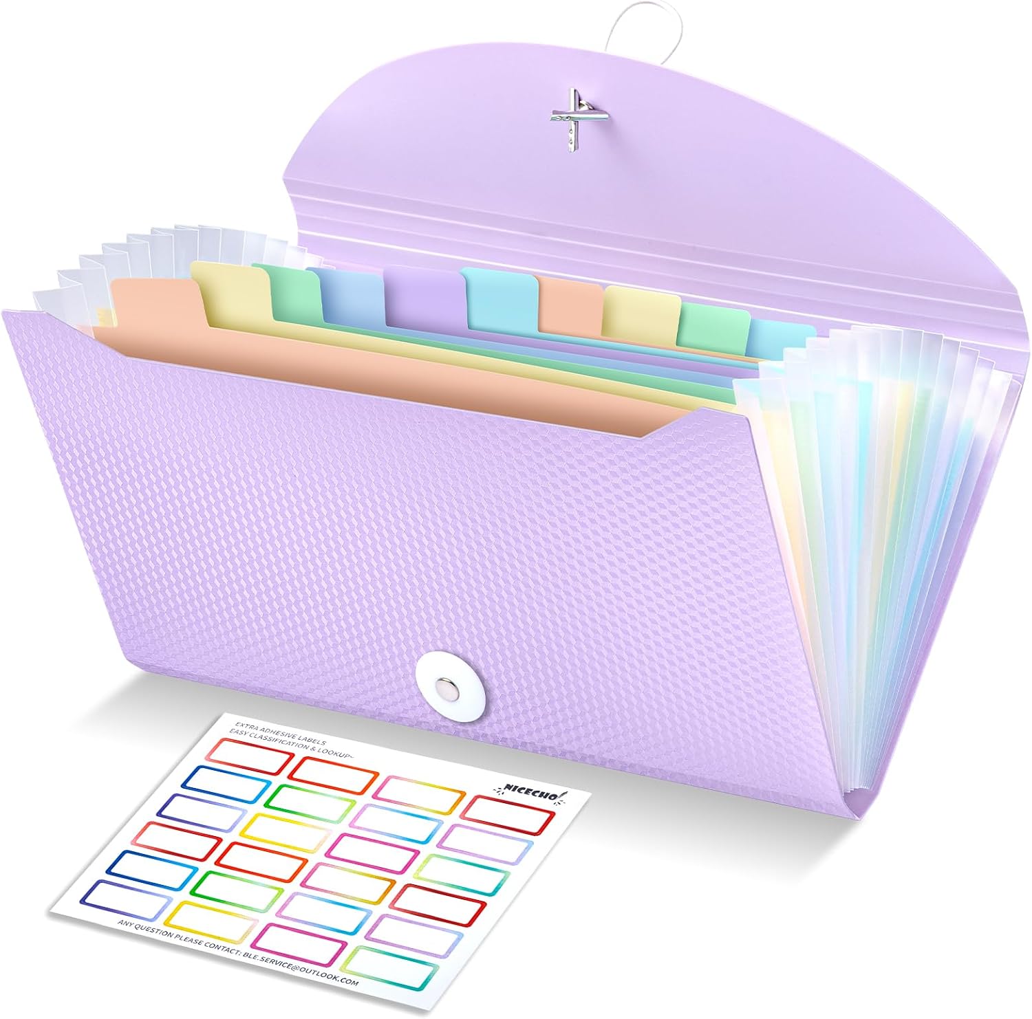 Nicecho Receipt Coupon Organizer, 13 Pockets Small Accordion File Organizer with Labels for Receipt Cards, Bill Business, Coupons Storage, 10.2X 5.1 Inches