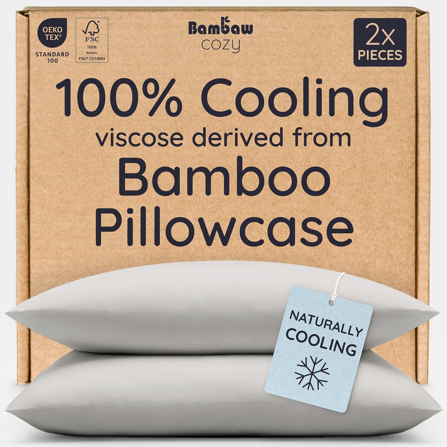 Bambaw 100% Viscose Derived from Bamboo Pillowcase Queen Size – Set of 2 Cooling Pillow Cases for Hair Protection, Envelope Pillow Cases Queen Size, Soft & Anti Acne Pillow Cases (Moonlight Gray)